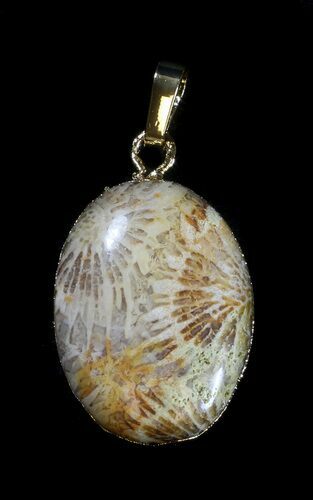 Million Year Old Fossil Coral Pendant #35784